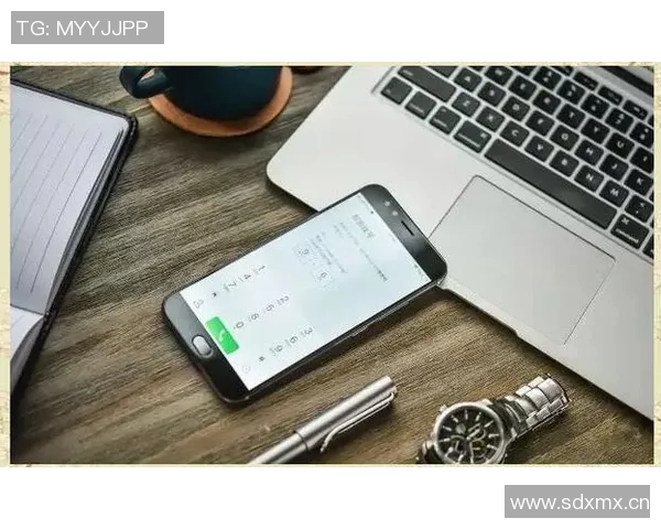 陈敏独家分享网球心得与技巧助你提升球技的全面指南